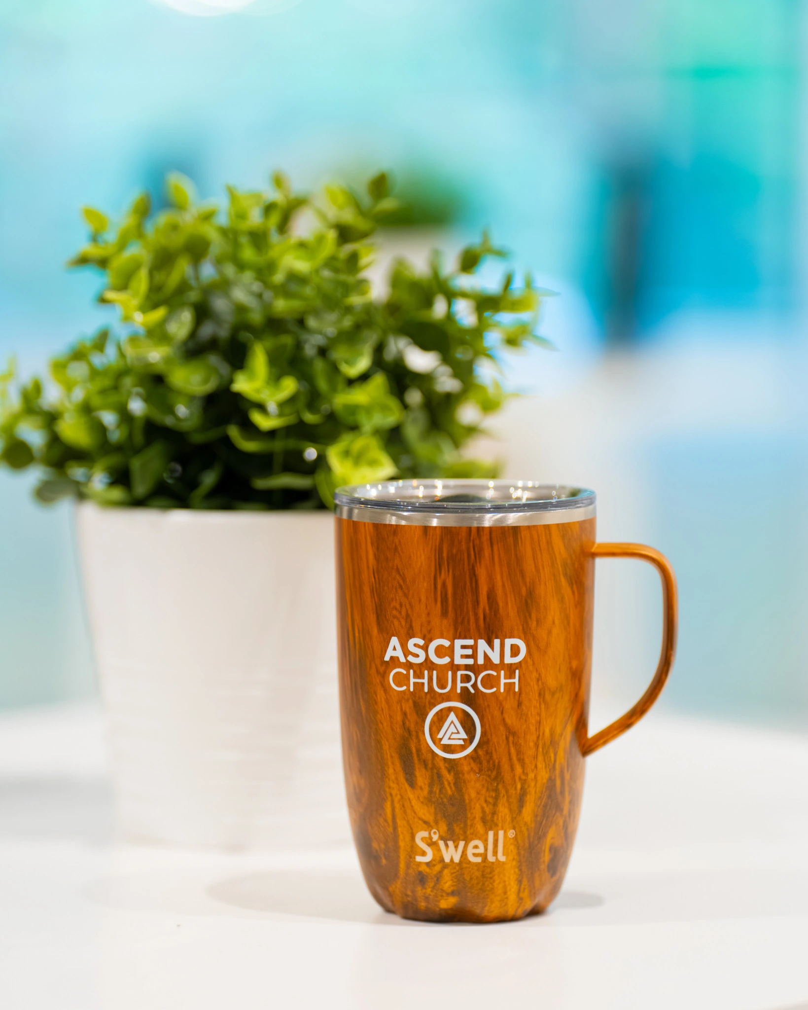 Amber wood-grain Ascend Church mug beside a green plant in the church merchandise area.